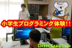 2309info