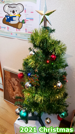 [英語イベント] クリスマスツリーを飾りました