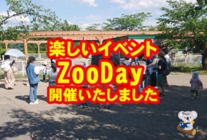 [英語イベント] イベントZooDay楽しく開催しました