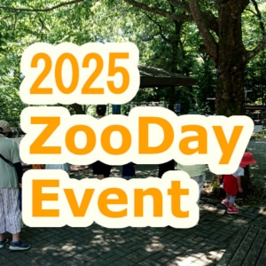 [英語イベント] 今年は茶臼山動物園でZooDayイベント行いました！